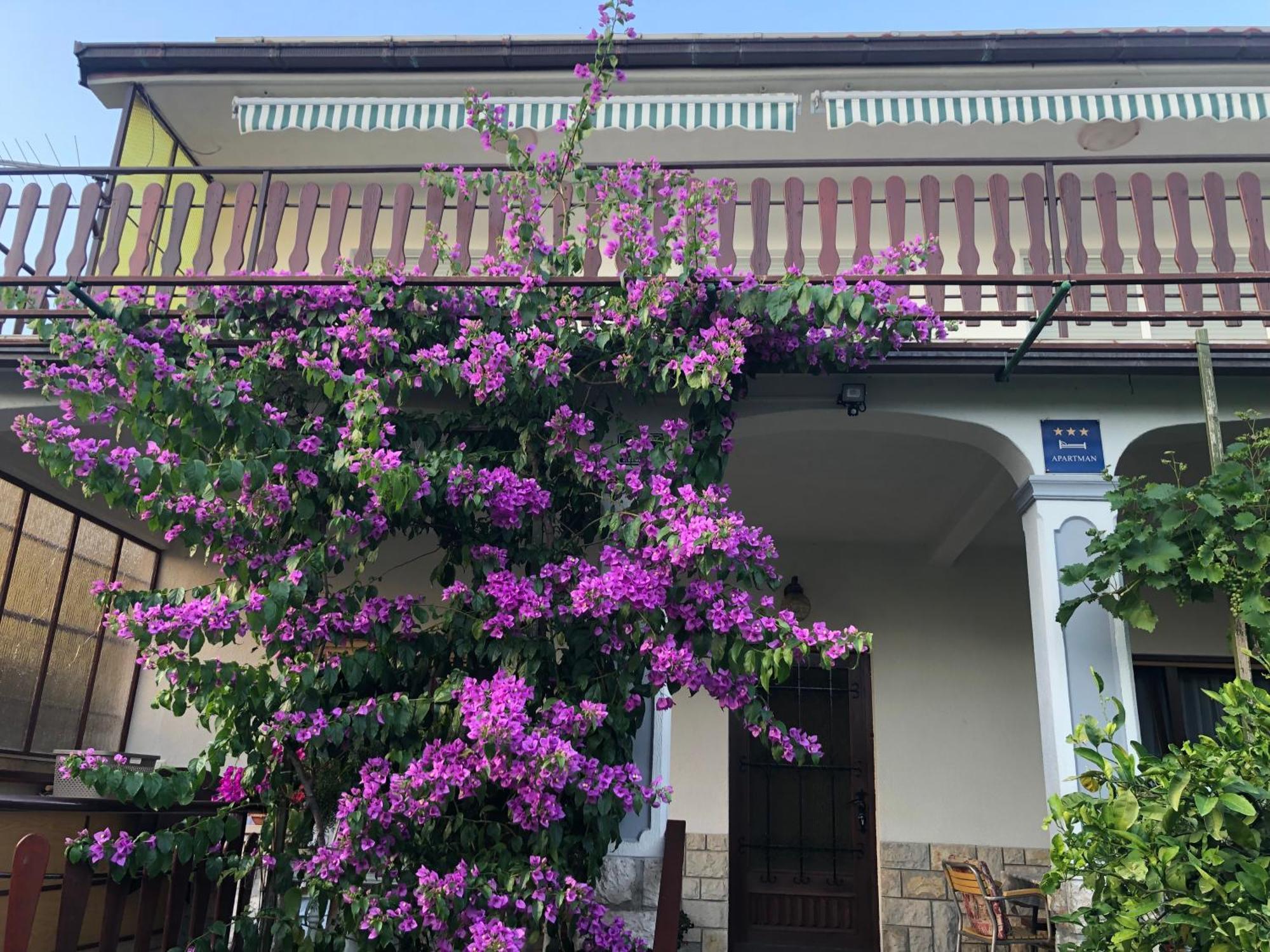 Apartment Marija